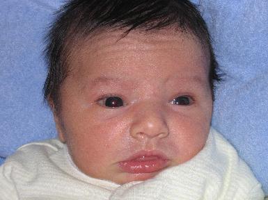 Stella Still Facial Pic